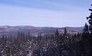 Vue