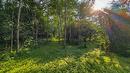 Land/Lot