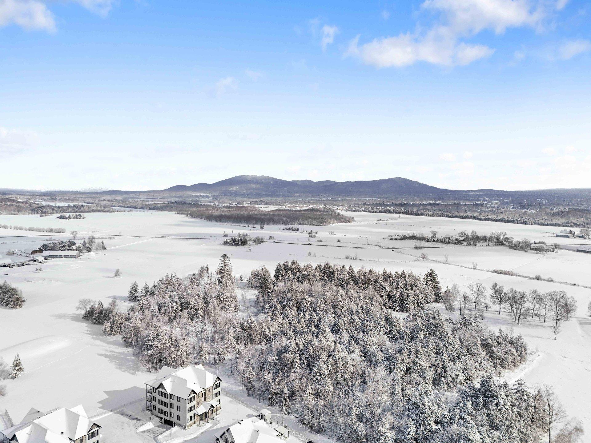 









243


Rue de l'Aigle

,
Bromont,




QC
J2L0S8

