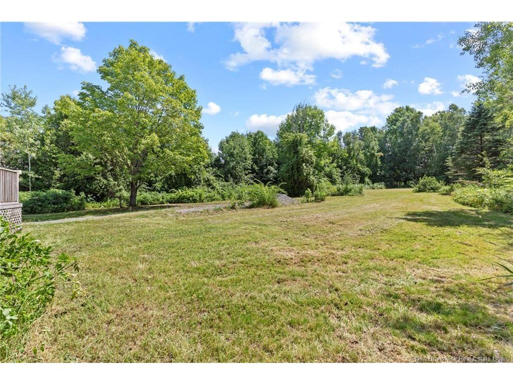 









3212


Woodstock

RD,
Fredericton,




NB
E3E 1A4

