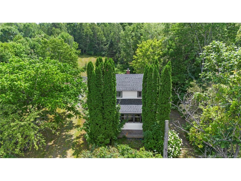 









3212


Woodstock

RD,
Fredericton,




NB
E3E 1A4

