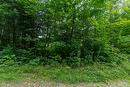 Land/Lot Land/Lot