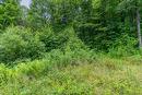 Land/Lot Land/Lot