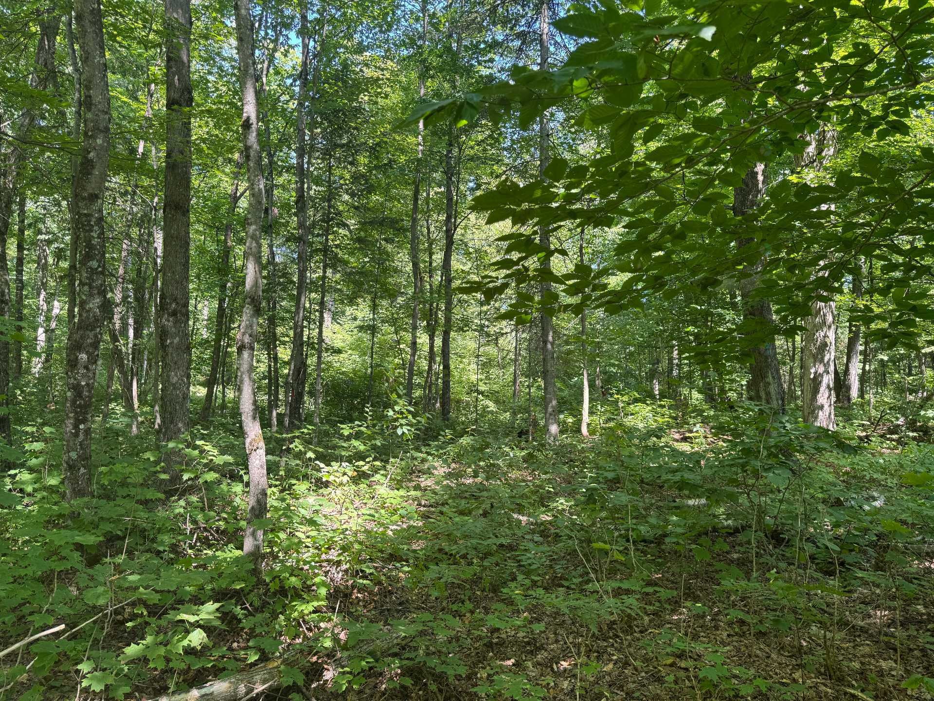 












Ch. du Plateau

,
Harrington,







QC
J8G2T3

