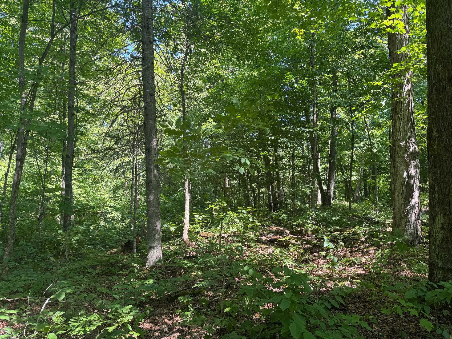 












Ch. du Plateau

,
Harrington,







QC
J8G2T3

