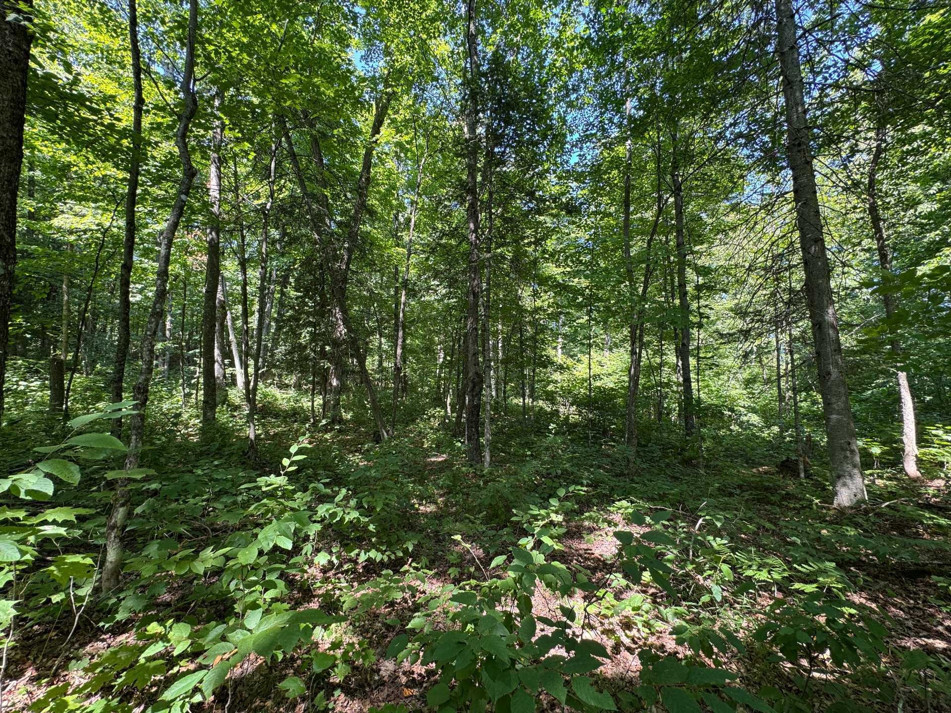 












Ch. du Plateau

,
Harrington,







QC
J8G2T3

