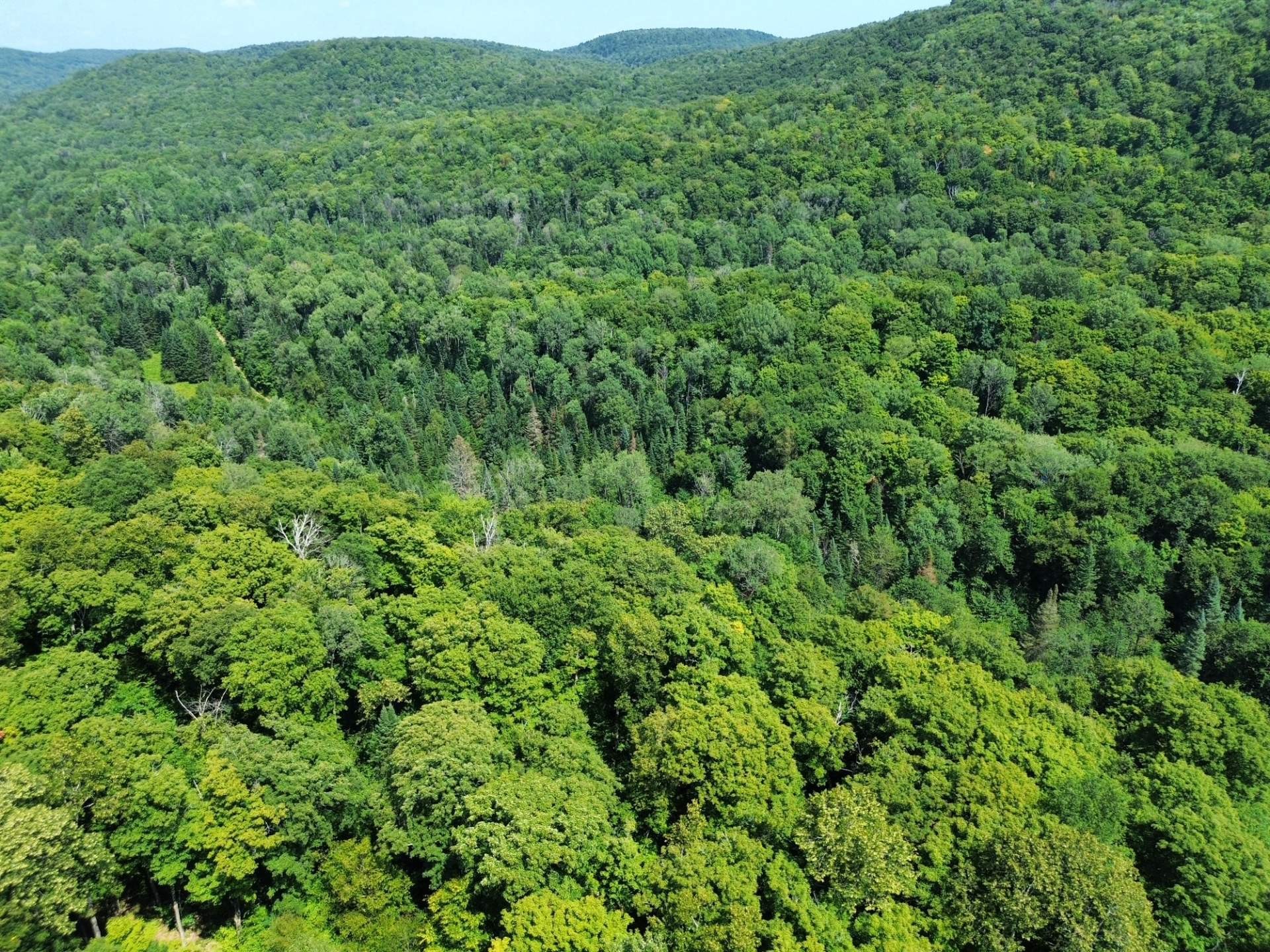 












Ch. du Plateau

,
Harrington,







QC
J8G2T3

