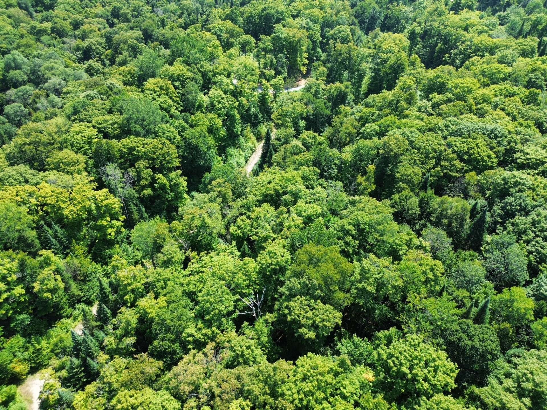 












Ch. du Plateau

,
Harrington,







QC
J8G2T3


