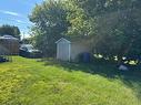 Shed Shed