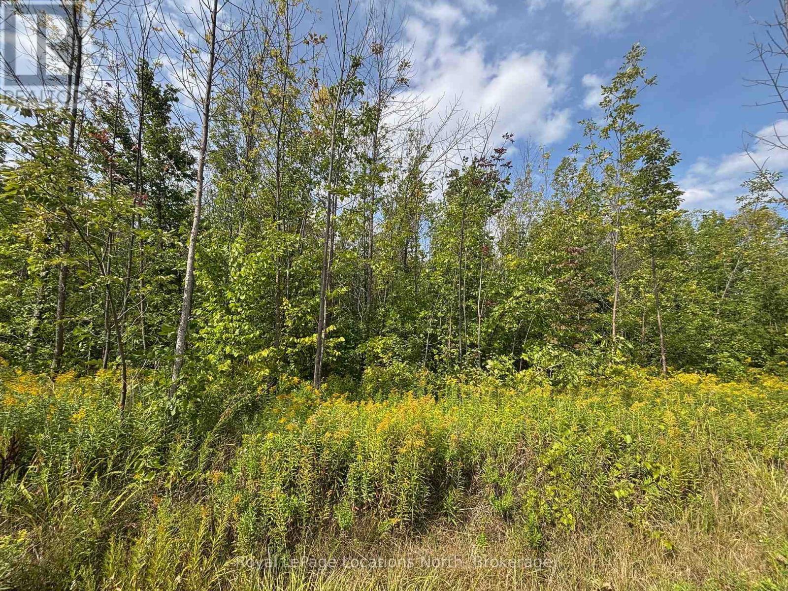 












0 CEDAR AVENUE

,
Meaford,







Ontario
N4L1W5

