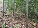 Terre/Terrain Terre/Terrain
