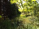 Terre/Terrain