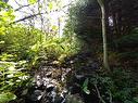 Terre/Terrain