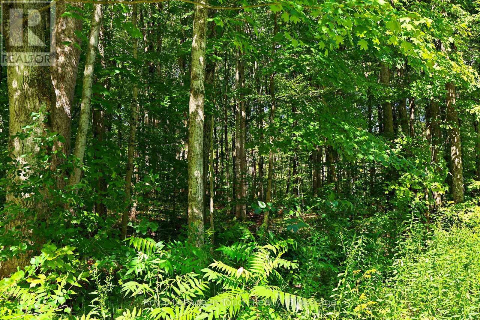 












LOT 52 COPELAND CREEK DRIVE

,
Tiny,







Ontario
L9M0M2

