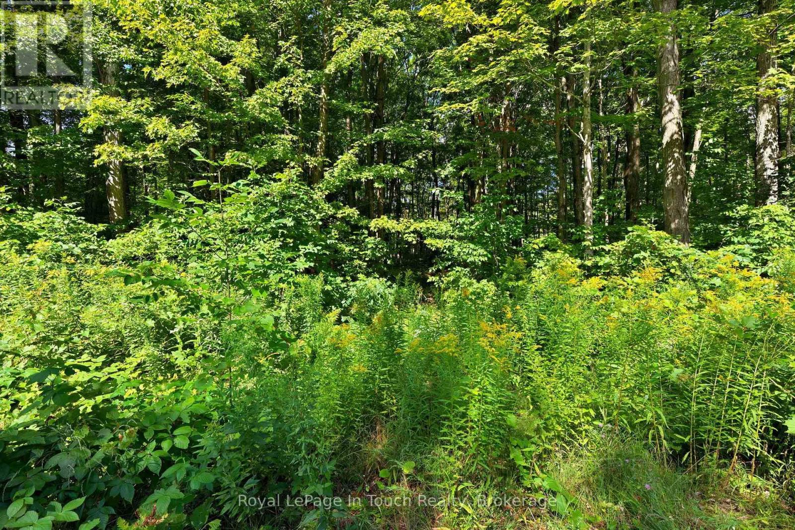 












LOT 52 COPELAND CREEK DRIVE

,
Tiny,







Ontario
L9M0M2

