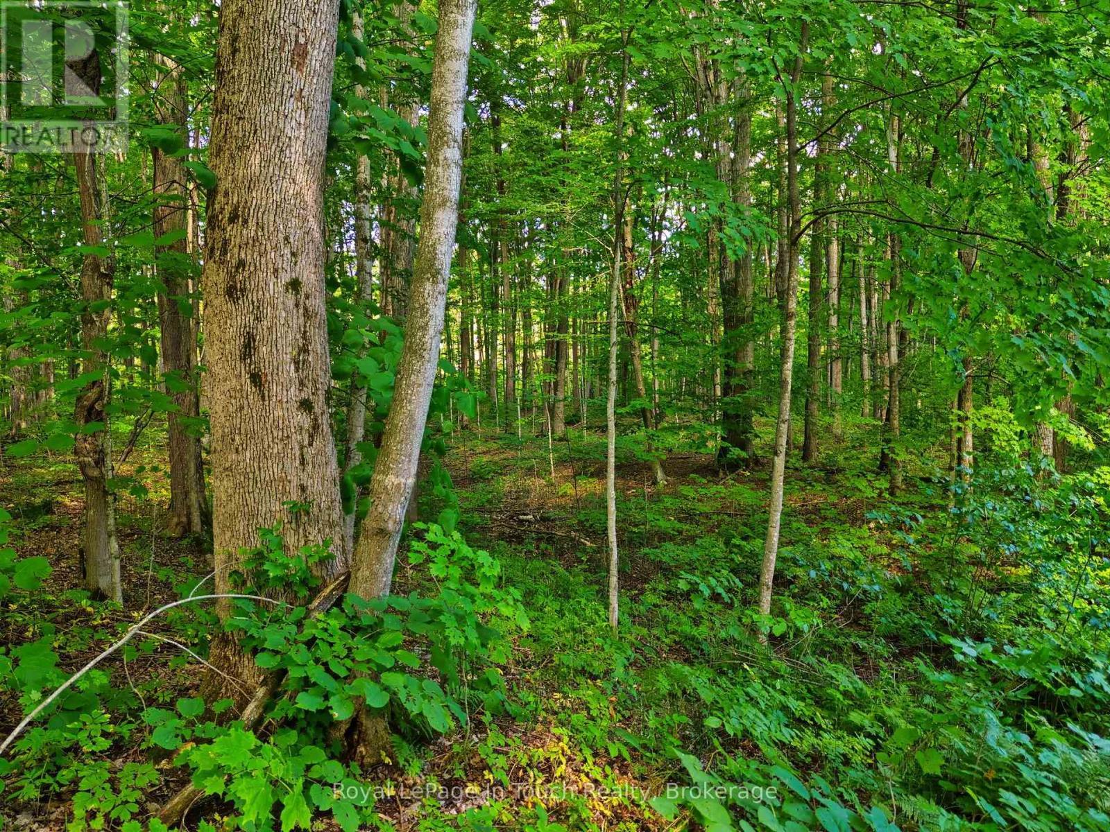 












LOT 52 COPELAND CREEK DRIVE

,
Tiny,







Ontario
L9M0M2


