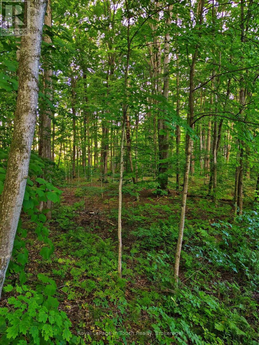 












LOT 52 COPELAND CREEK DRIVE

,
Tiny,







Ontario
L9M0M2


