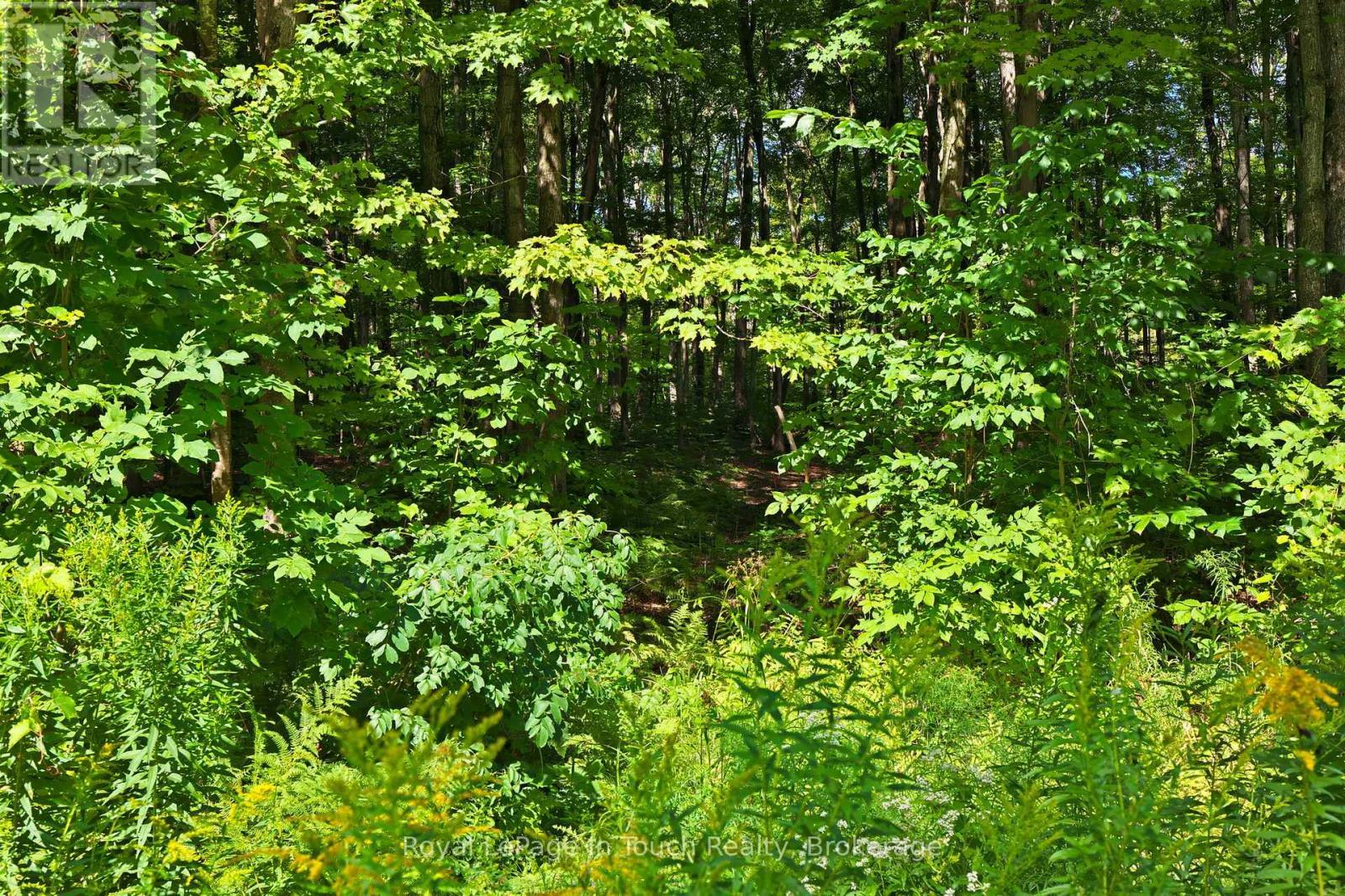 












LOT 52 COPELAND CREEK DRIVE

,
Tiny,







Ontario
L9M0M2


