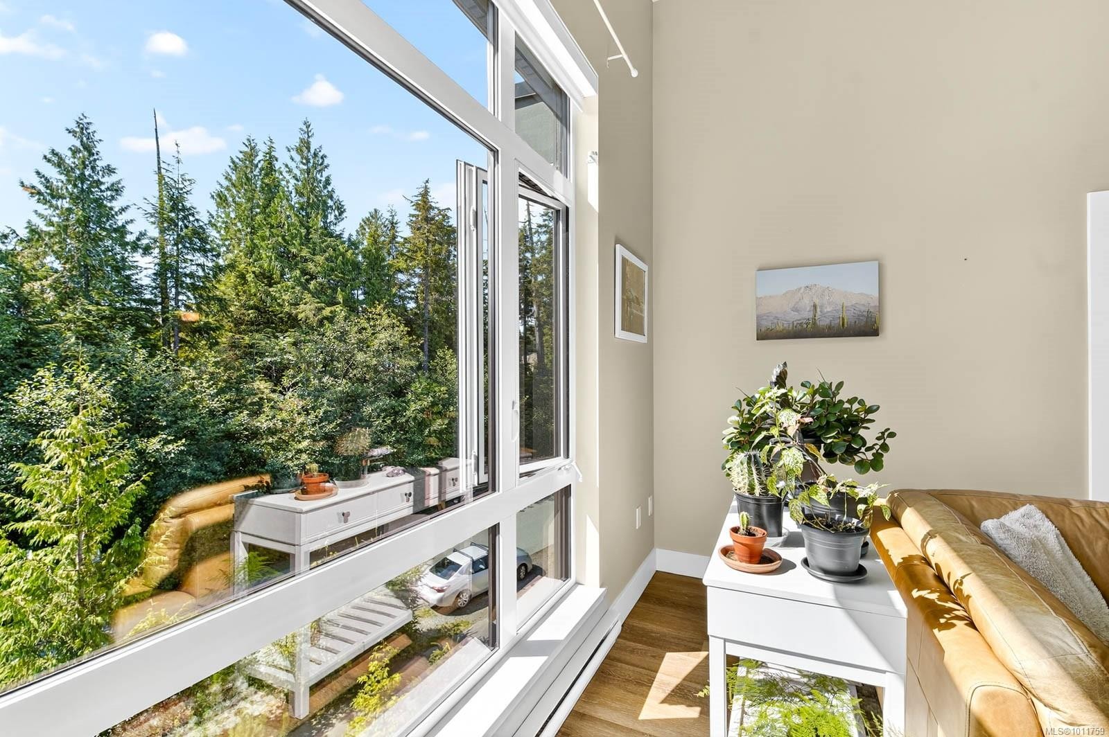 









700


Yew Wood

Rd, 302,
Tofino,




BC
V0R 2Z0

