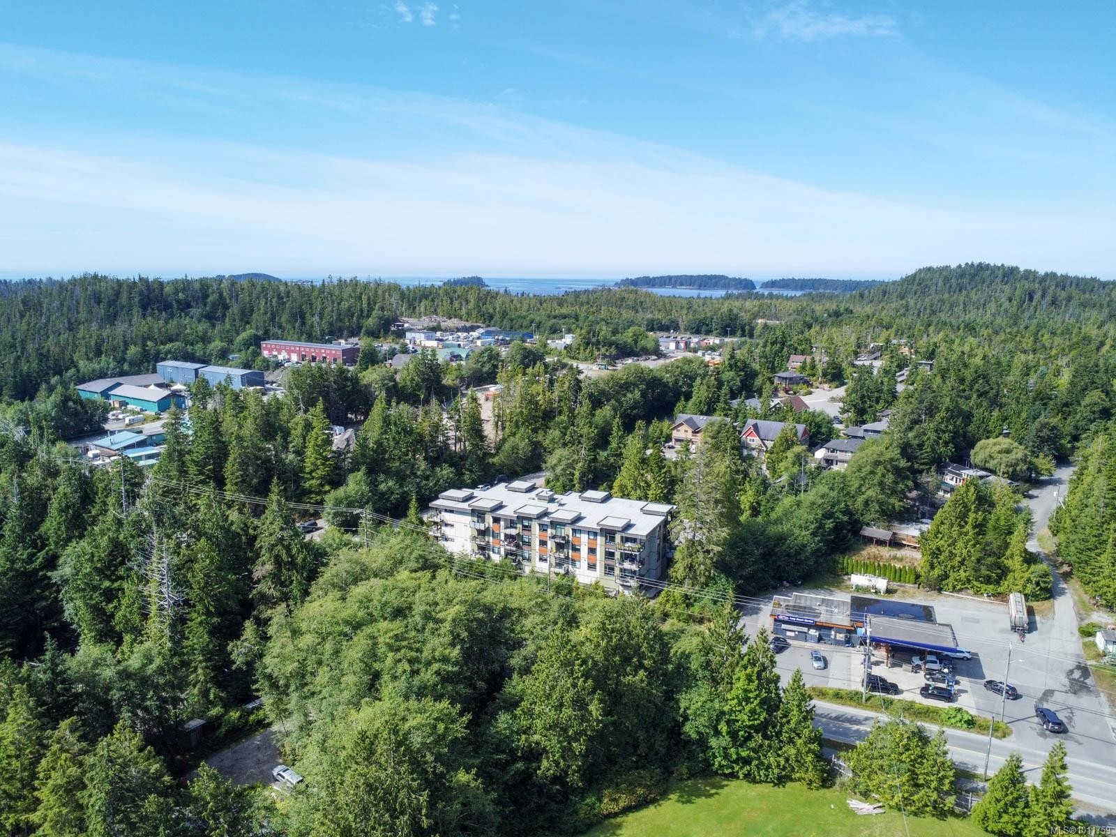 









700


Yew Wood

Rd, 302,
Tofino,




BC
V0R 2Z0

