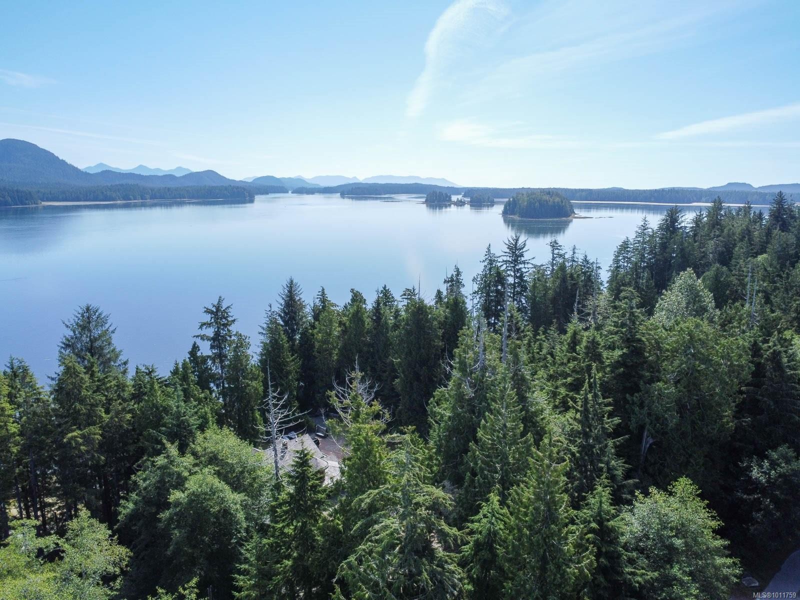 









700


Yew Wood

Rd, 302,
Tofino,




BC
V0R 2Z0

