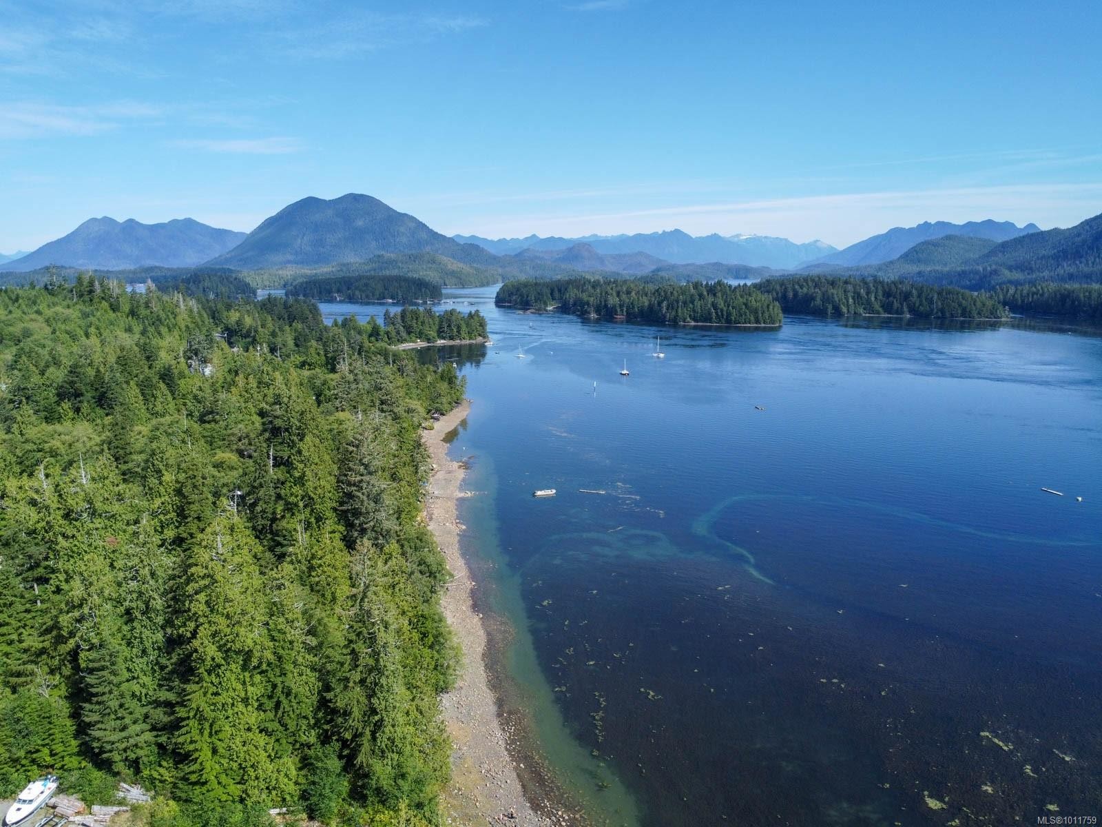 









700


Yew Wood

Rd, 302,
Tofino,




BC
V0R 2Z0

