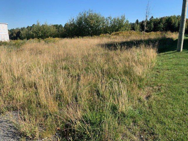 









2269


Route Principale

,
Saint-Nérée-de-Bellechasse,







QC
G0R3V0

