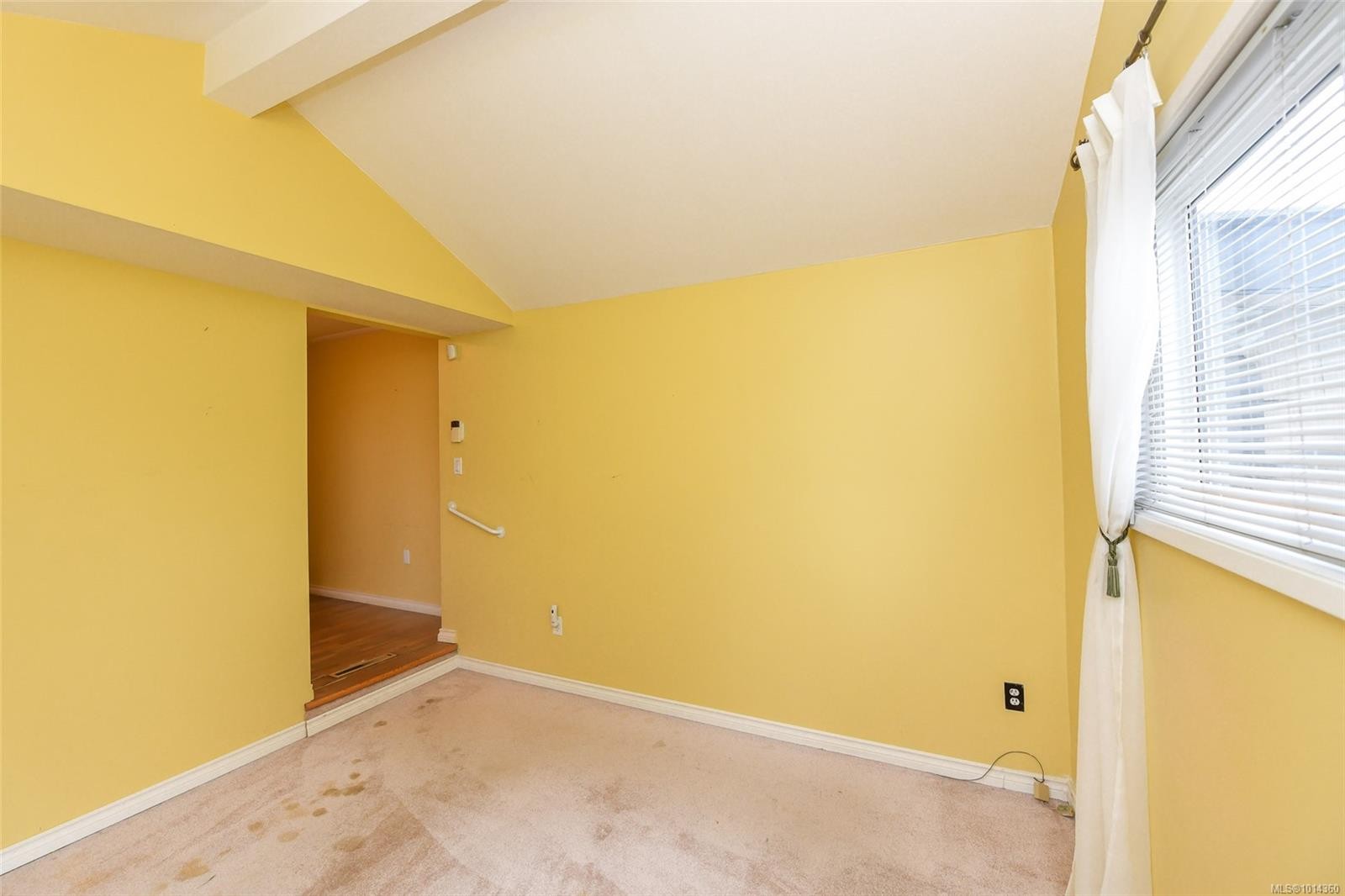 









531


11th

St,
Courtenay,




BC
V9N 1S7

