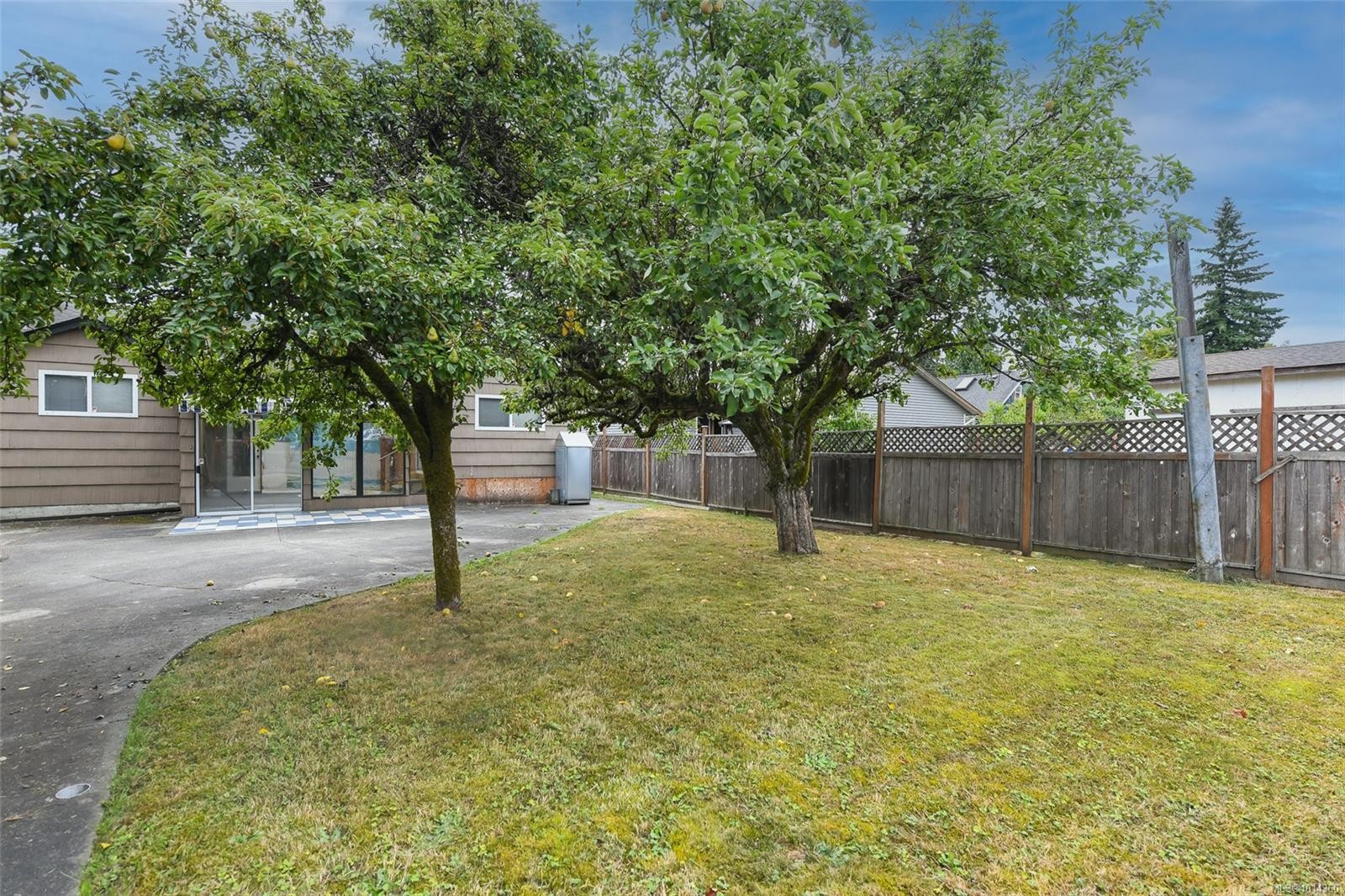 









531


11th

St,
Courtenay,




BC
V9N 1S7


