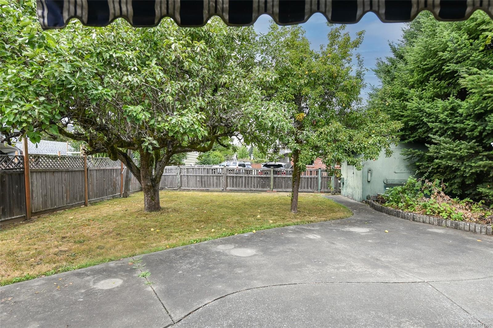 









531


11th

St,
Courtenay,




BC
V9N 1S7

