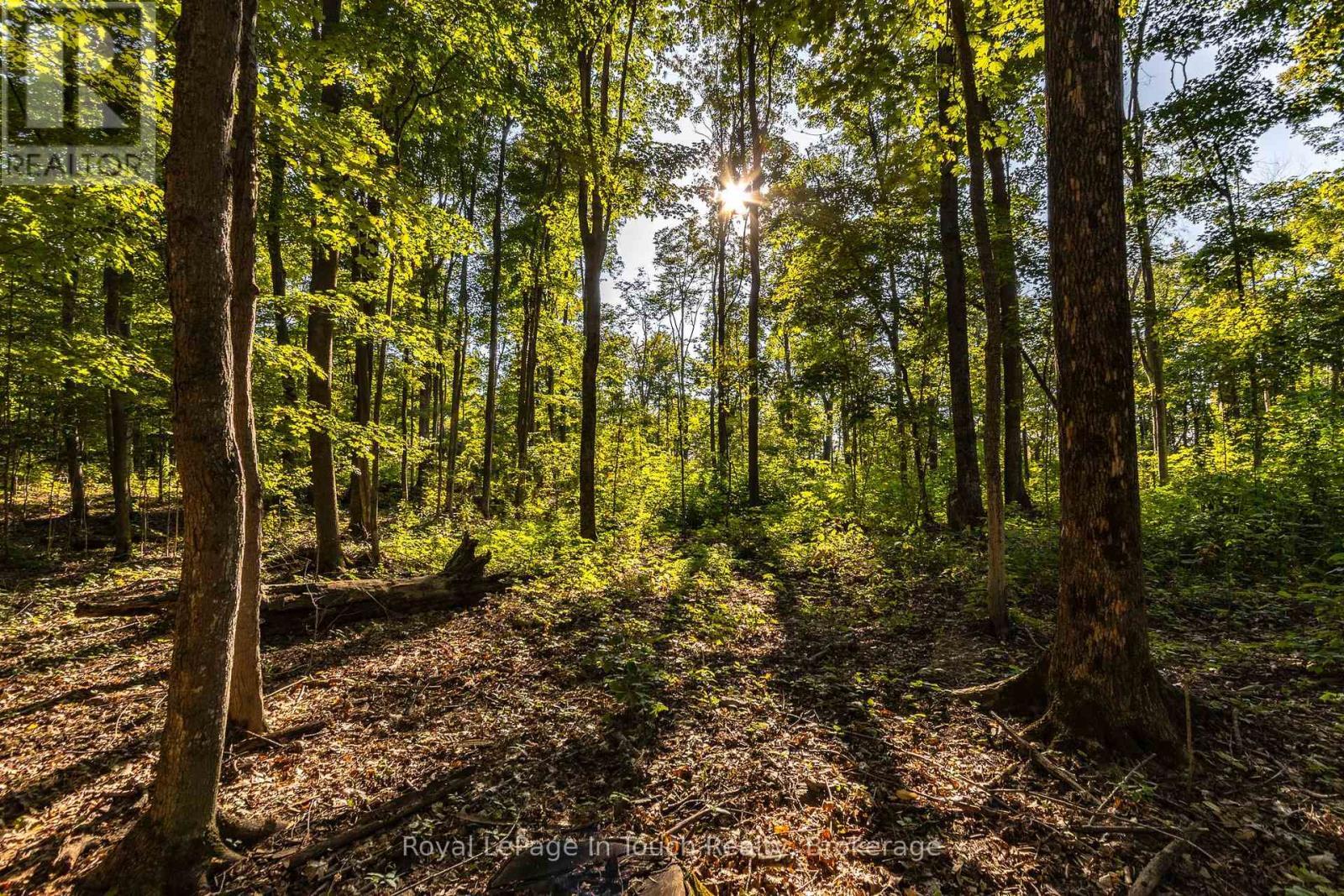 












LT 16&17 NIPPISSING RIDGE ROAD

,
Tiny,







Ontario
L9M0T8

