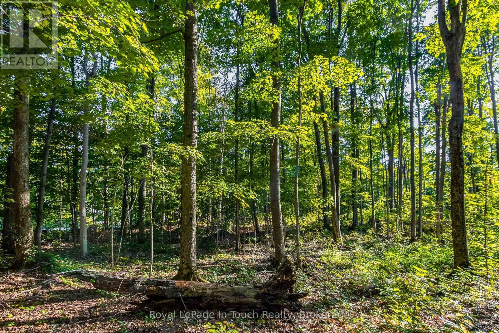 












LT 16&17 NIPPISSING RIDGE ROAD

,
Tiny,







Ontario
L9M0T8

