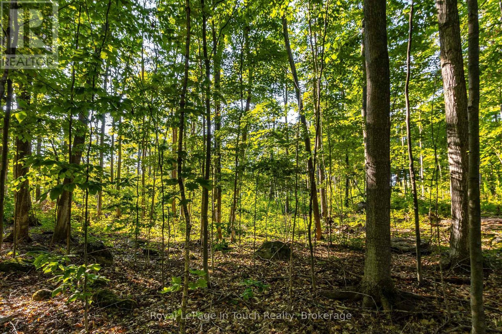 












LT 16&17 NIPPISSING RIDGE ROAD

,
Tiny,







Ontario
L9M0T8

