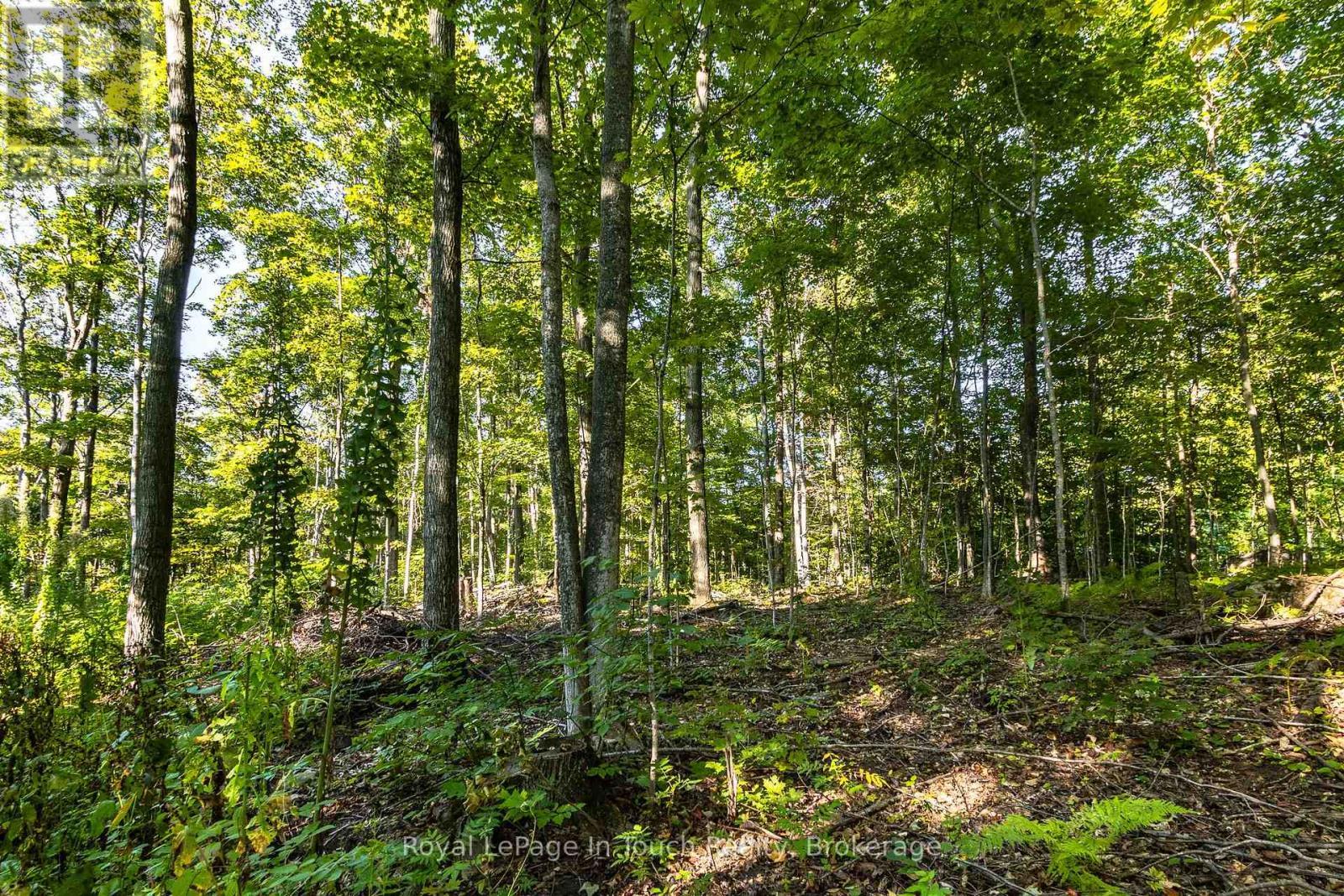 












LT 16&17 NIPPISSING RIDGE ROAD

,
Tiny,







Ontario
L9M0T8

