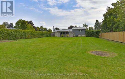 Lush grass & private cedars Lush grass & private cedars