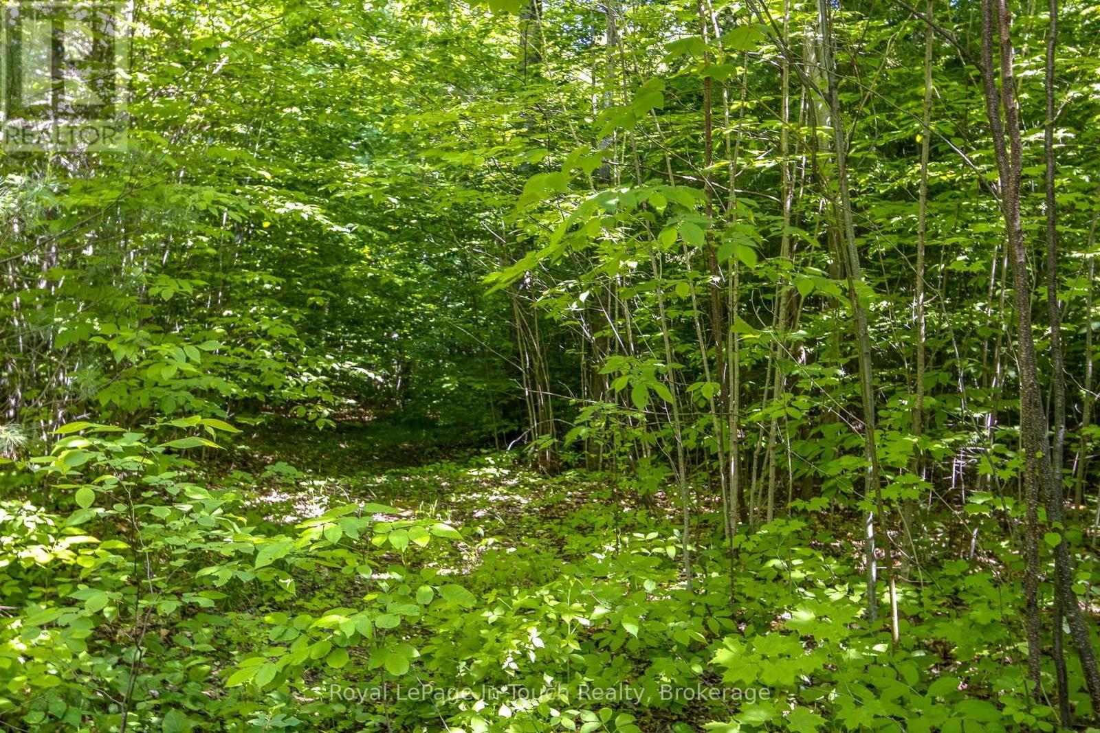 












LOT 23 CONCESSION 17 ROAD W

,
Tiny,







Ontario
L9M0K6

