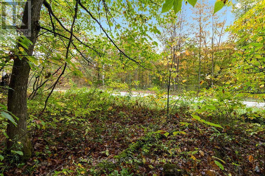 












PT W HALF LOT 3 CONCESSION 4A CONCESSION

,
Grey Highlands,







Ontario
N0C1H0

