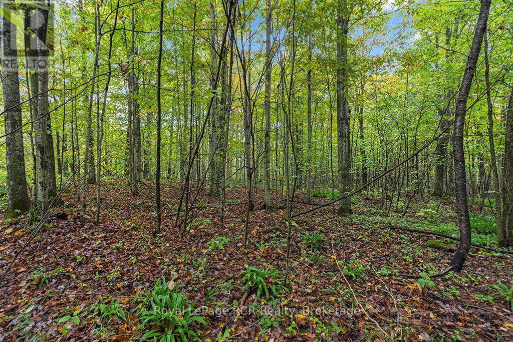 












PT W HALF LOT 3 CONCESSION 4A CONCESSION

,
Grey Highlands,







Ontario
N0C1H0

