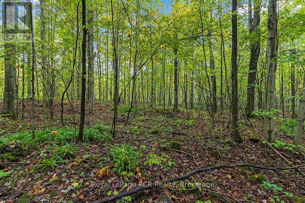 












PT W HALF LOT 3 CONCESSION 4A CONCESSION

,
Grey Highlands,







Ontario
N0C1H0

