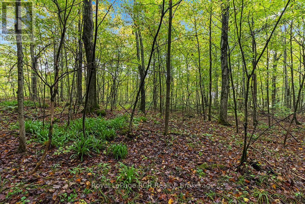 












PT W HALF LOT 3 CONCESSION 4A CONCESSION

,
Grey Highlands,







Ontario
N0C1H0

