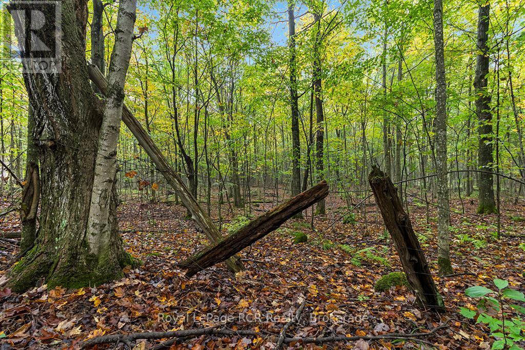 












PT W HALF LOT 3 CONCESSION 4A CONCESSION

,
Grey Highlands,







Ontario
N0C1H0

