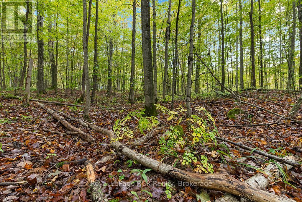 












PT W HALF LOT 3 CONCESSION 4A CONCESSION

,
Grey Highlands,







Ontario
N0C1H0

