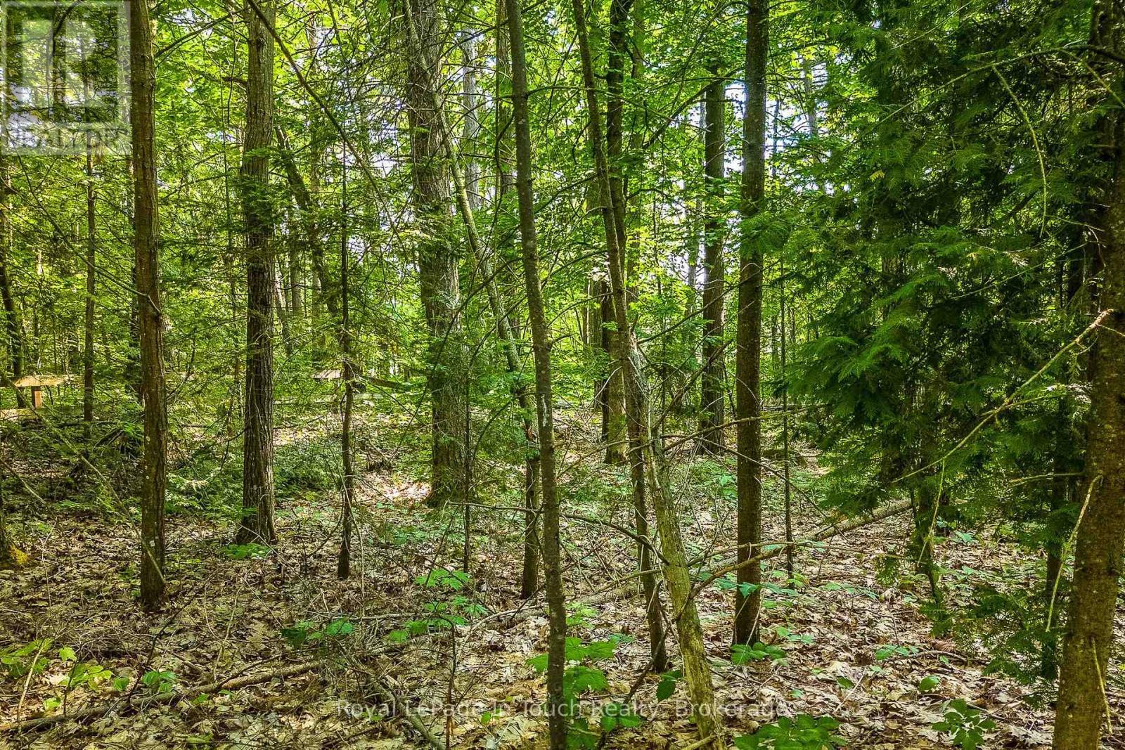 












LOT 47 TROUT LANE

,
Tiny,







Ontario
L9M0J1

