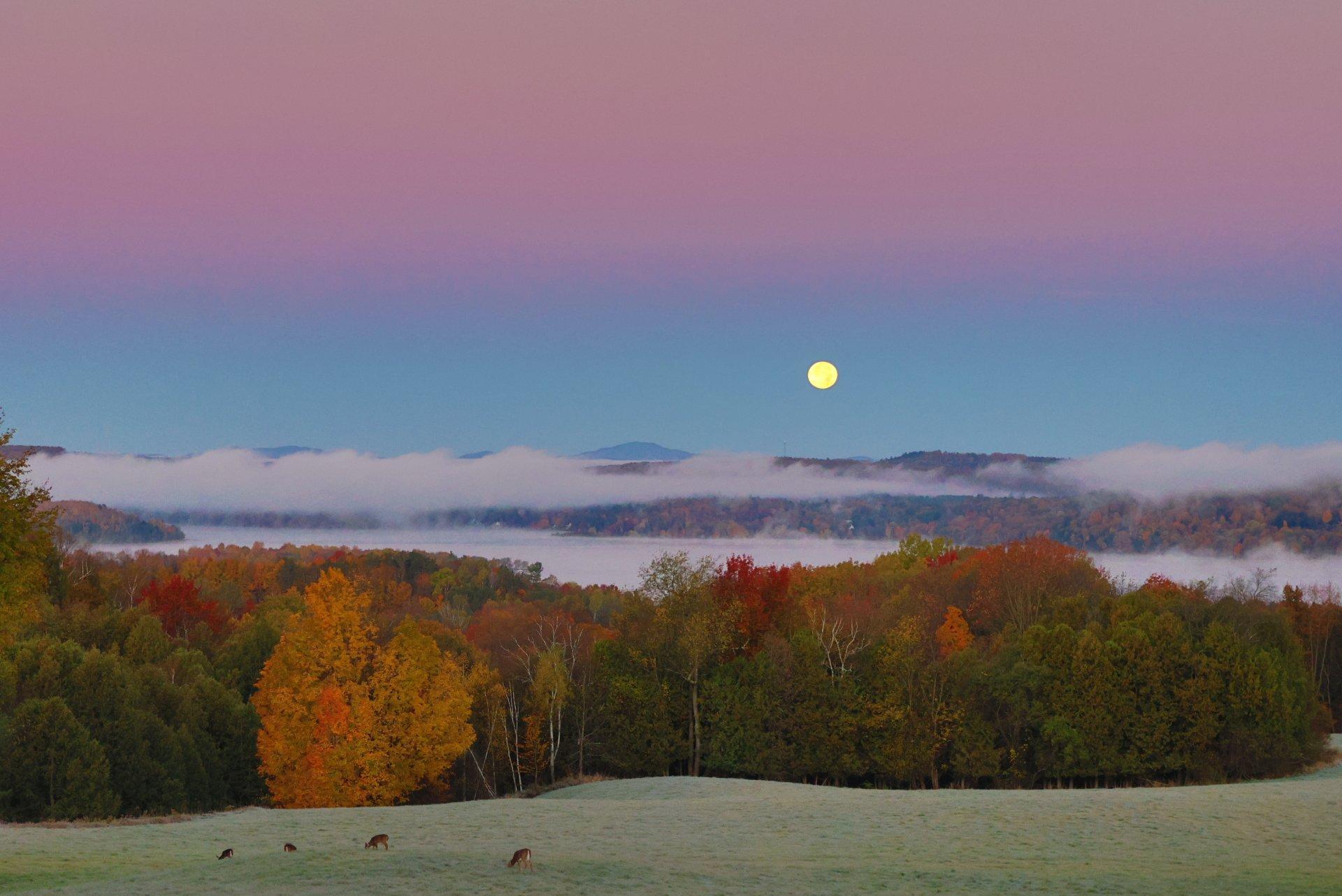 









2275

 - 2295


Route 143

,
Hatley - Municipalité,




QC
J0B4B0

