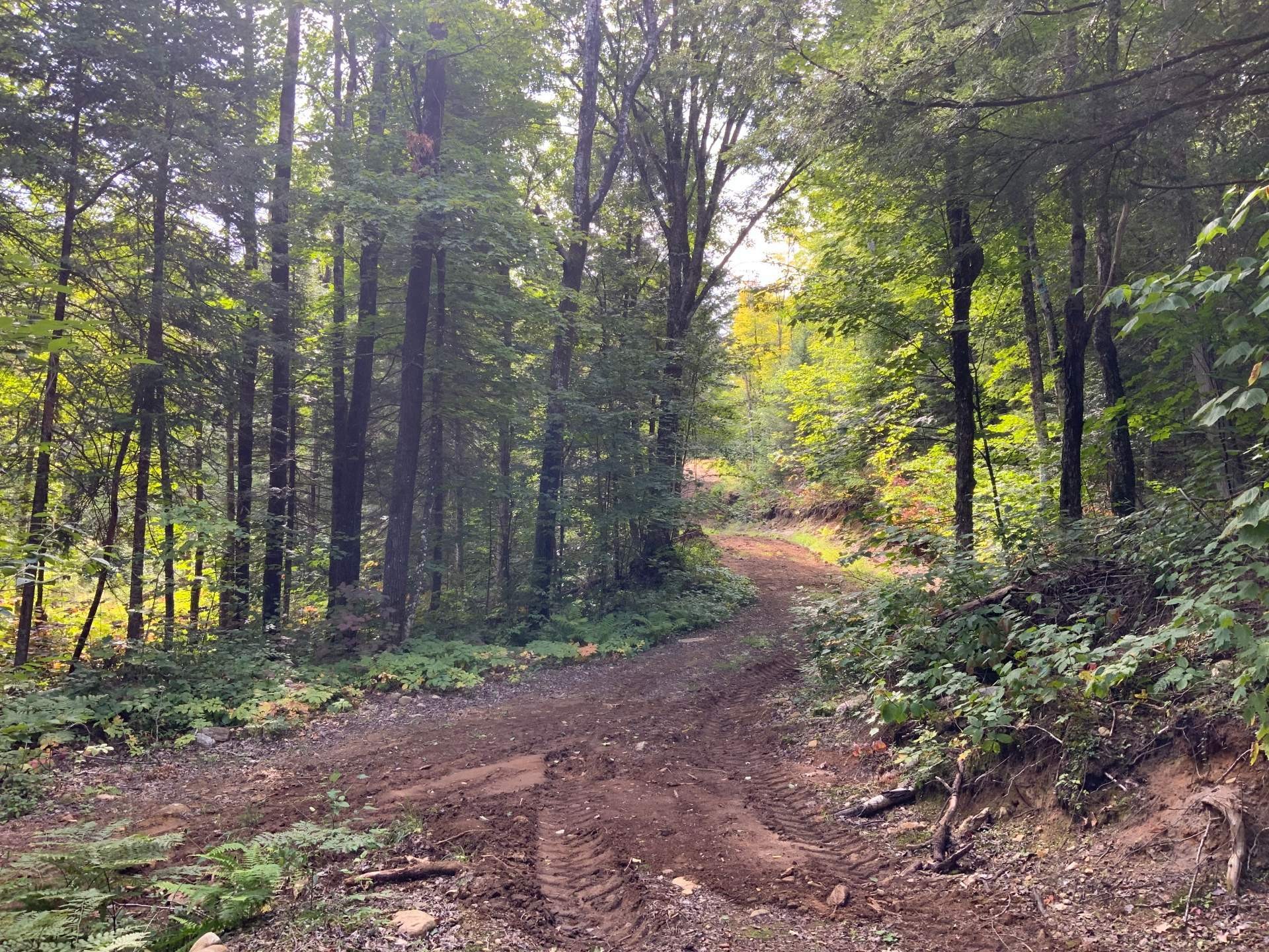 









131


Mtée Rochon

,
Ripon,







QC
J0V1V0

