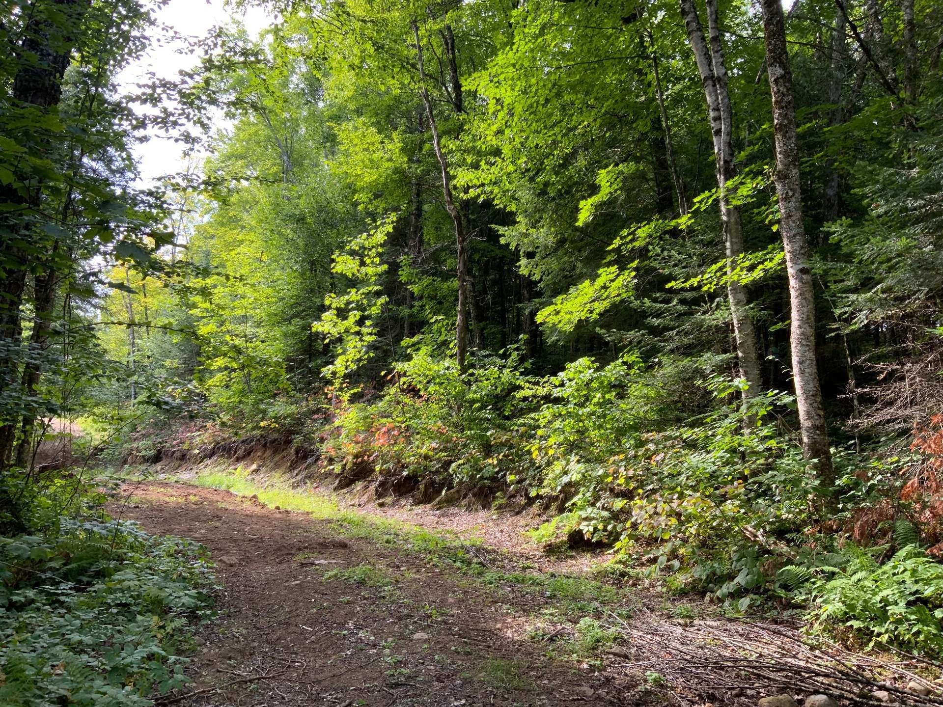 









131


Mtée Rochon

,
Ripon,







QC
J0V1V0

