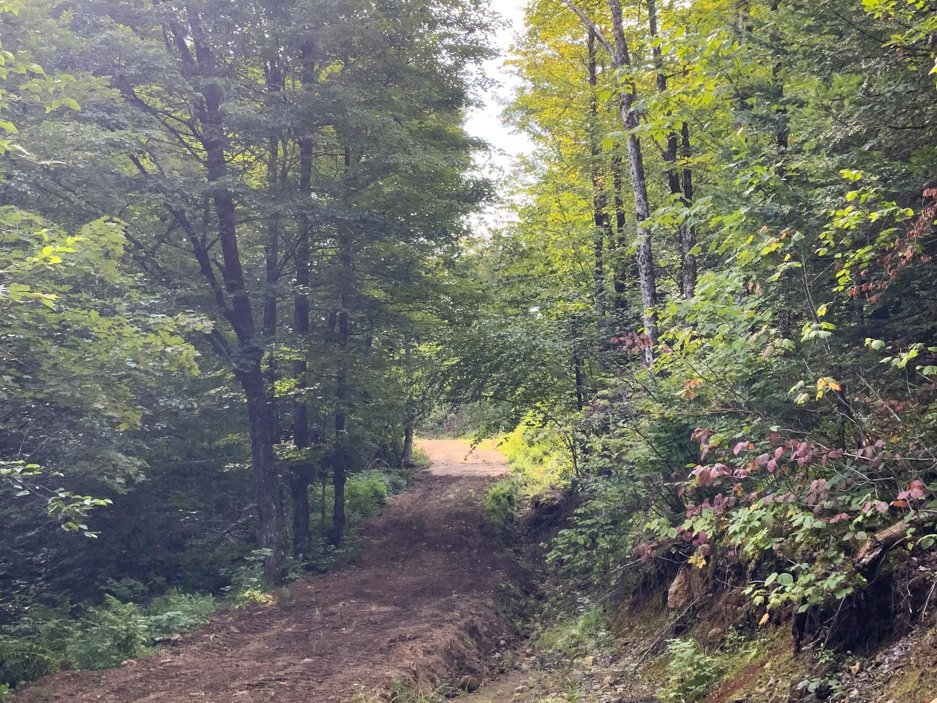 









131


Mtée Rochon

,
Ripon,







QC
J0V1V0

