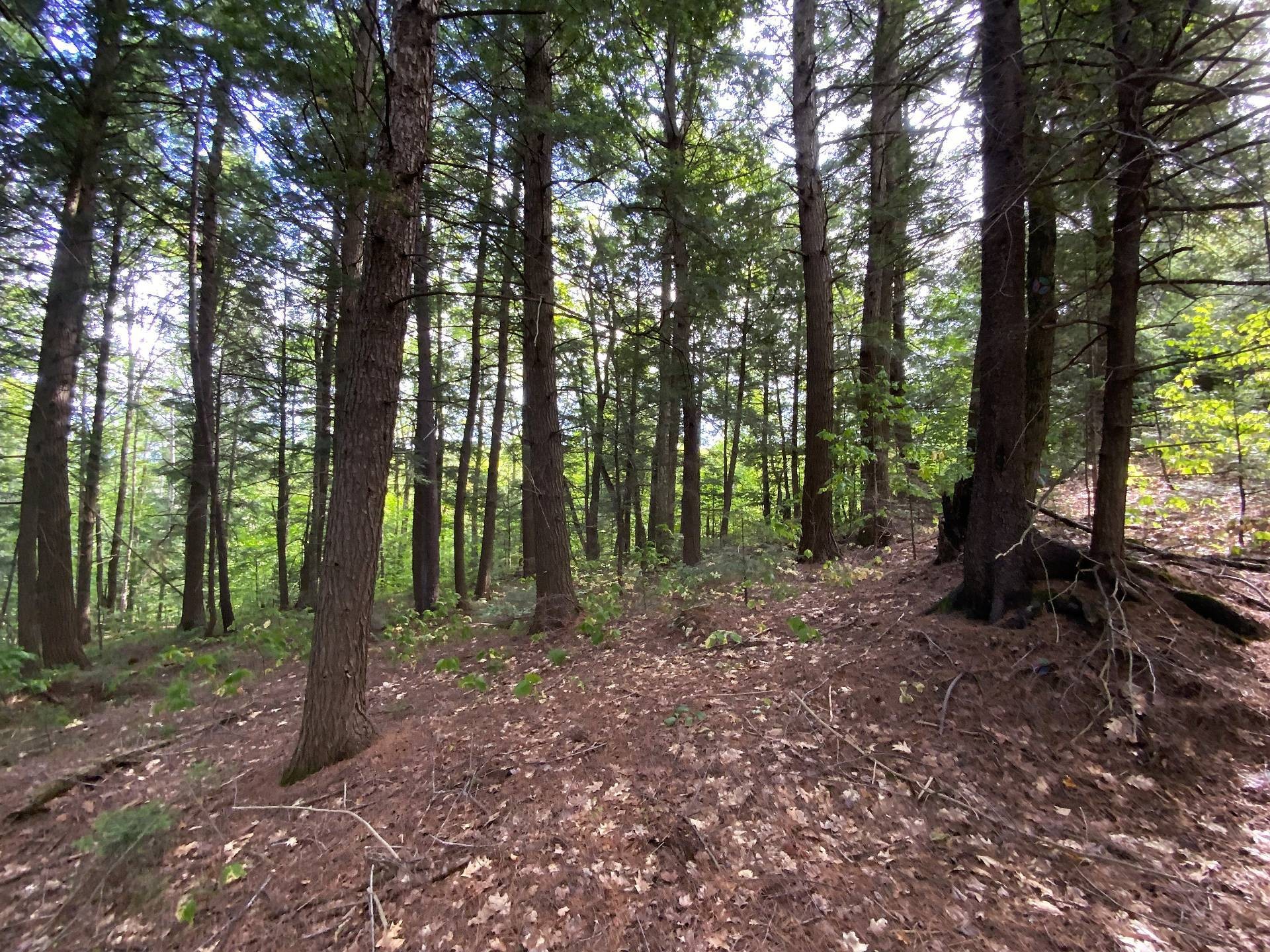 









131


Mtée Rochon

,
Ripon,







QC
J0V1V0

