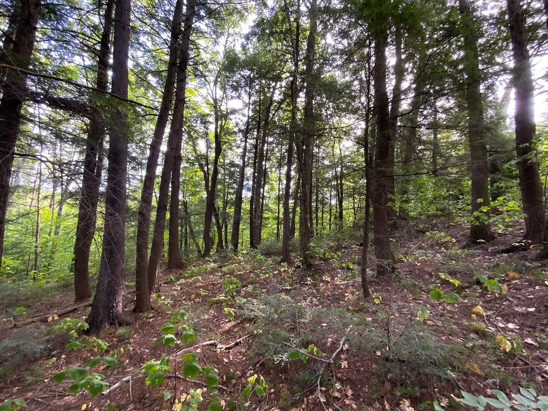 









131


Mtée Rochon

,
Ripon,







QC
J0V1V0

