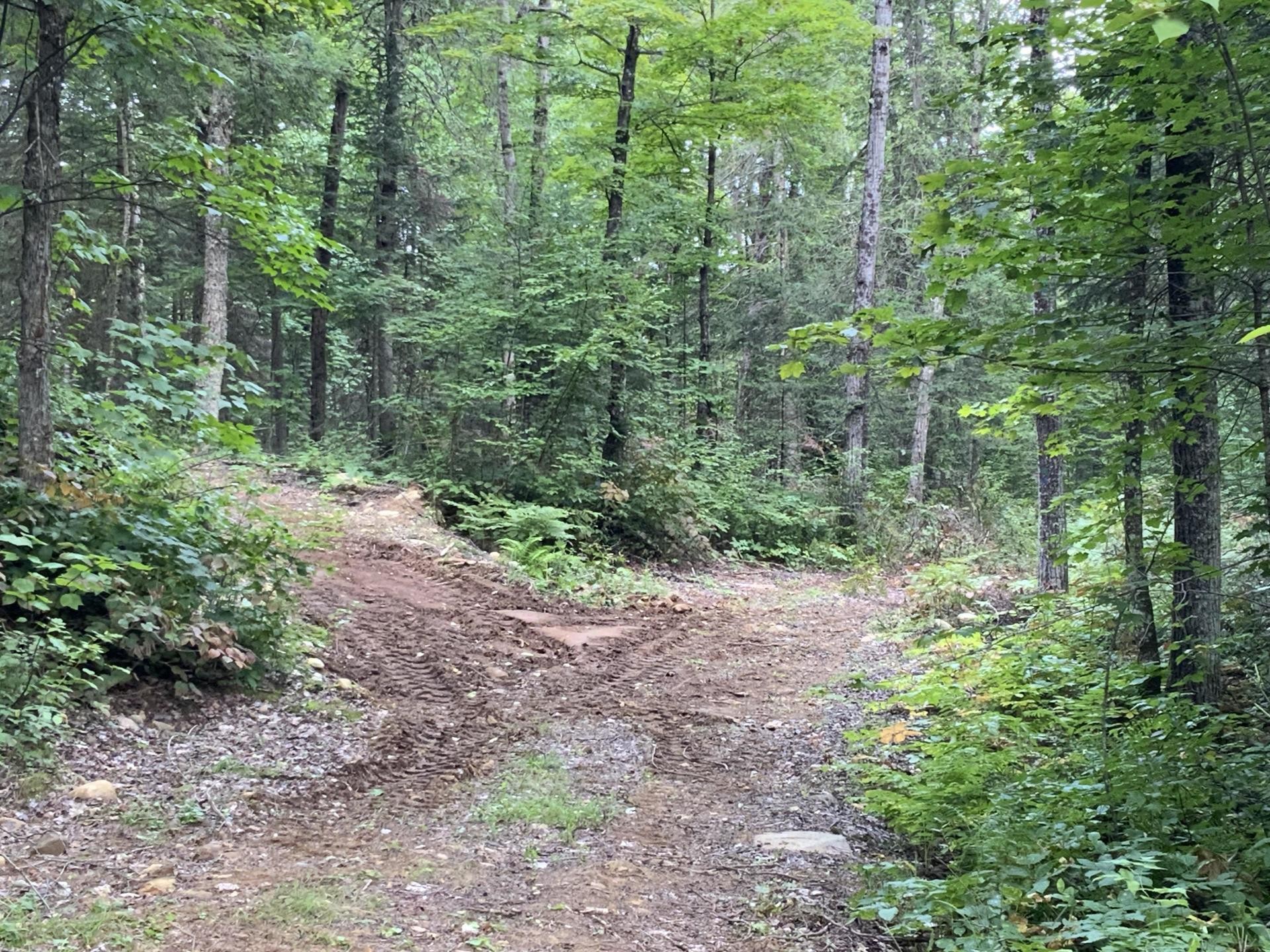 









131


Mtée Rochon

,
Ripon,







QC
J0V1V0

